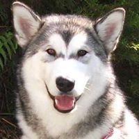 Susan Golding Photo 10