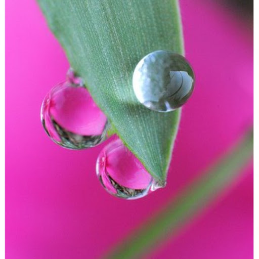 Janette Castro Photo 29