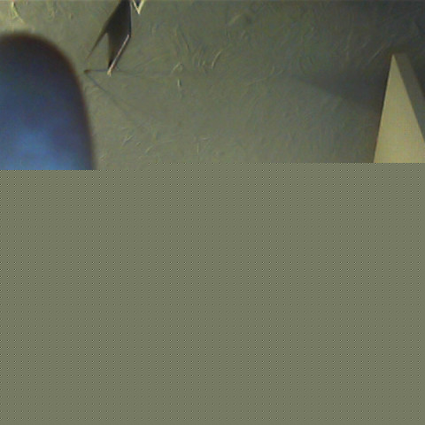 Gordon Harvey Photo 18