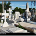Angel Alamo Photo 38
