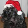 Paula Totten Photo 16