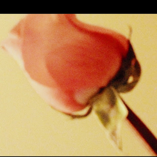 Kristen Austin Photo 22