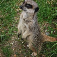 Pamela Blackwell Photo 17