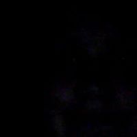 Kathleen Waldrop Photo 8