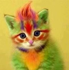 Catherine Webb Photo 23 Catherine Webb Photo 23