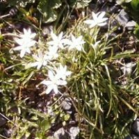 Sandra Lord Photo 24