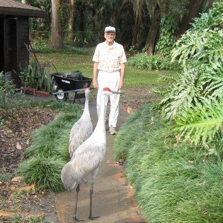 Harry Robbins Photo 14