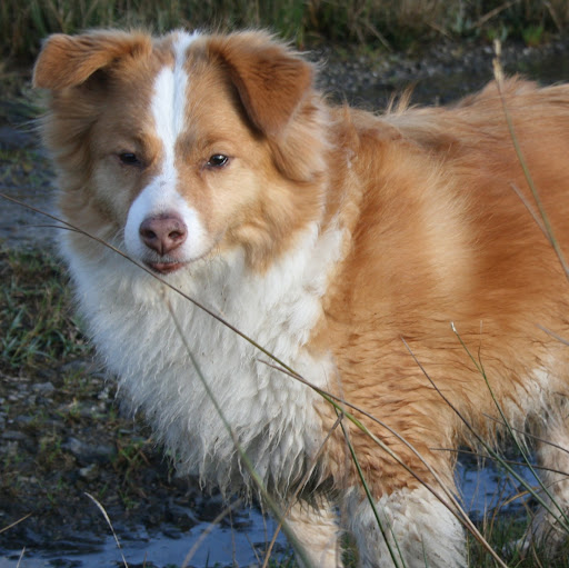 Trish Patterson Photo 25