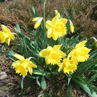 Eleanor Clark Photo 24