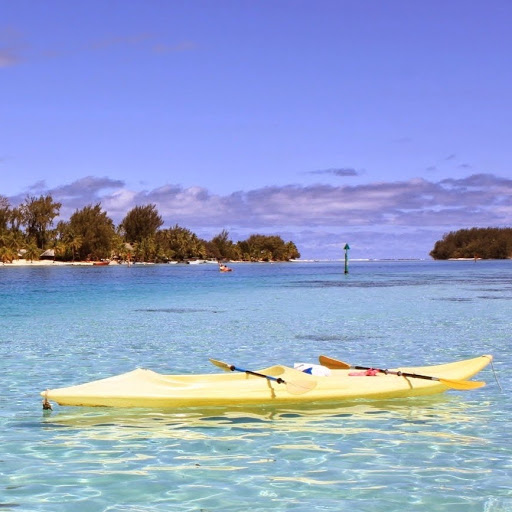 Todd Andrews Photo 25