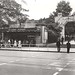 Elizabeth Stjames Photo 1