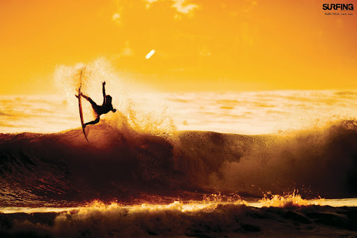 Jason Falk Photo 31
