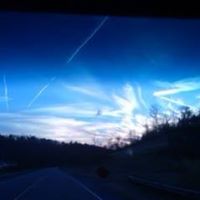 Cindy Kent Photo 9