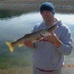 Steven Jensen Photo 31