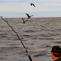 Todd Swanson Photo 28