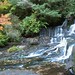 Dorothy Vines Photo 9