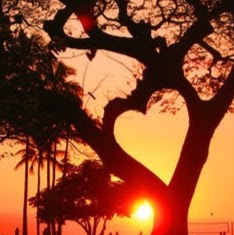 Jennifer Walton Photo 37