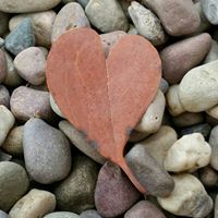 Susan Orman Photo 18