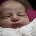 Harry Valentine Photo 34