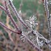 Julie Frost Photo 34