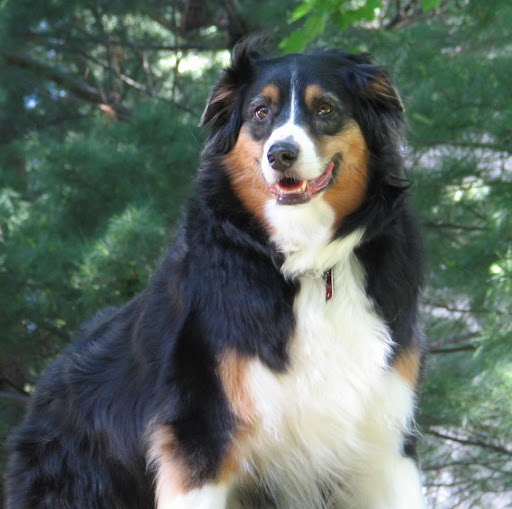 Colleen Butcher Photo 16