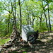 Jefferson Murphy Photo 9
