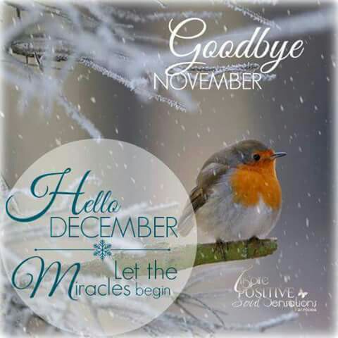 Beena Mathew Photo 17