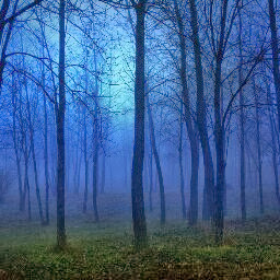 Stacey Morris Photo 7