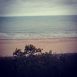 Sam Harrison Photo 13 Sam Harrison Photo 13