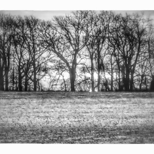 Charles Conklin Photo 35