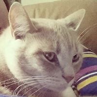 Suzanne Burger Photo 11