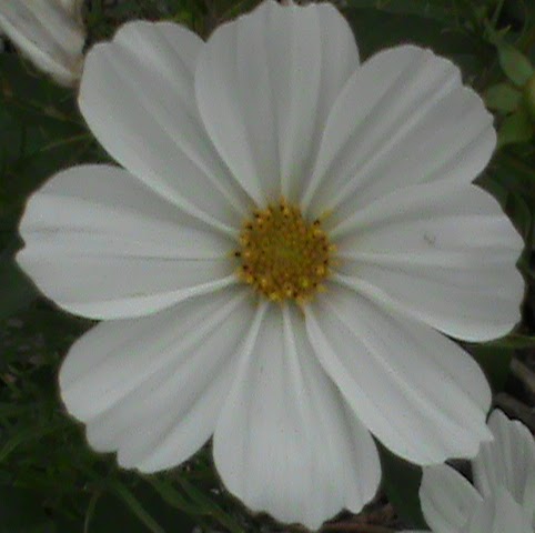 Ruth Rogers Photo 7