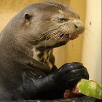 Cherie Bailey Photo 22