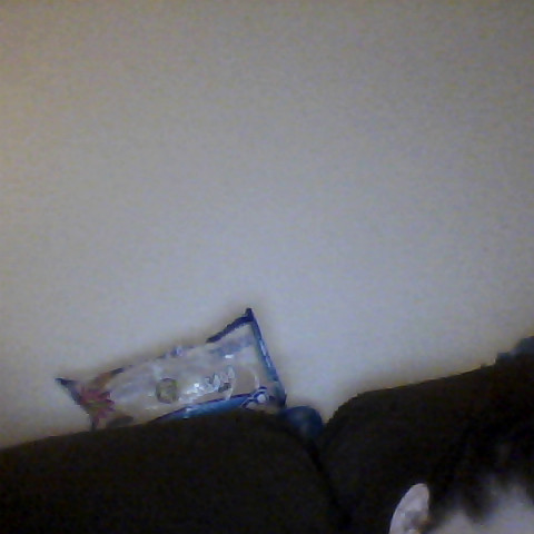 Patricia Hancock Photo 35