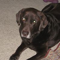 Diane Werner Photo 29