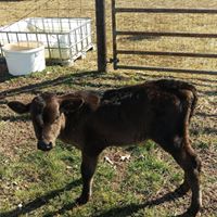 George Proctor Photo 19