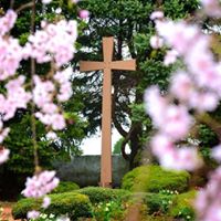 Julie Hipkins Photo 3