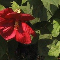 Marty Meyer Photo 12