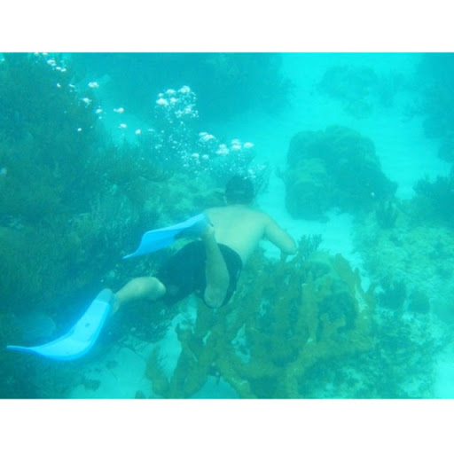 Andres Melo Photo 19