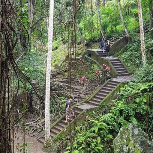 Angela Hoang Photo 7