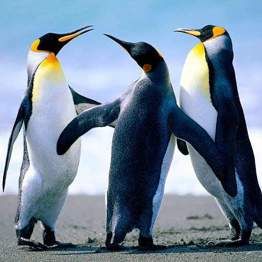 Robbie Turner Photo 18