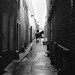 Thomas Lane Photo 43