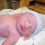 Susan Fry Photo 46