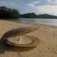 Pamela Goodwin Photo 25