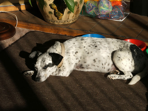 Marilyn Watson Photo 7