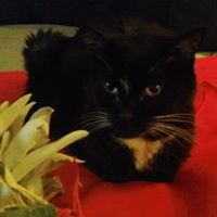 Arleen Robles Photo 11