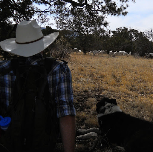 Jeremy Dillon Photo 38