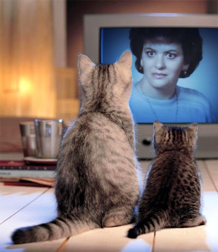 Maria Matos Photo 24