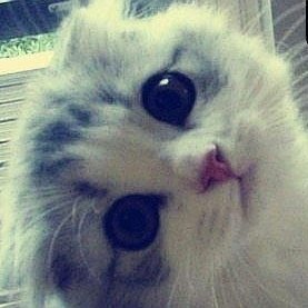 Shirley West Photo 11