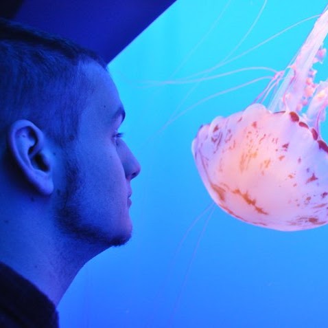 Anthony Hoffman Photo 24 Anthony Hoffman Photo 24